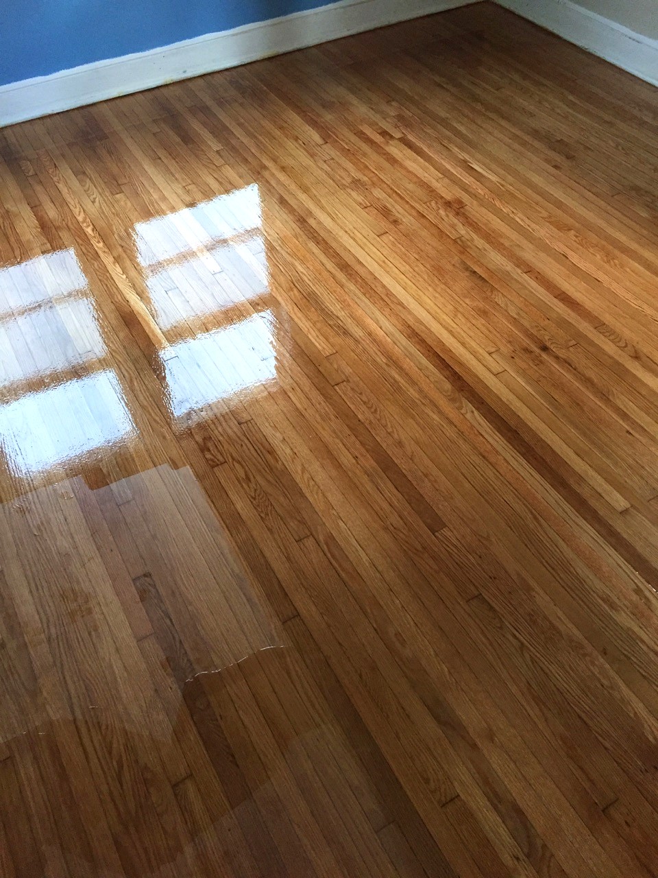 Finished glossy refinished hardwood floor